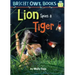 Lion Spies a Tiger