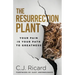 The Resurrection Plant: Your Pain Is Your Path To Greatness