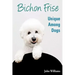Bichon Frise: Unique Among Dogs