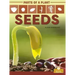 Seeds