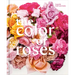 The Color of Roses: A Curated Spectrum of 300 Blooms