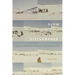 Slow Disturbance: Infrastructural Mediation on the Settler Colonial Resource Frontier