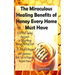 The Miraculous Healing Benefits of Honey Every Home Must Have: A DIY Self-Guided Approach to Using Honey Recipes to Heal over 30 Health Diseases and I