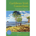 Caribbean Irish Connections: Interdisciplinary Perspectives