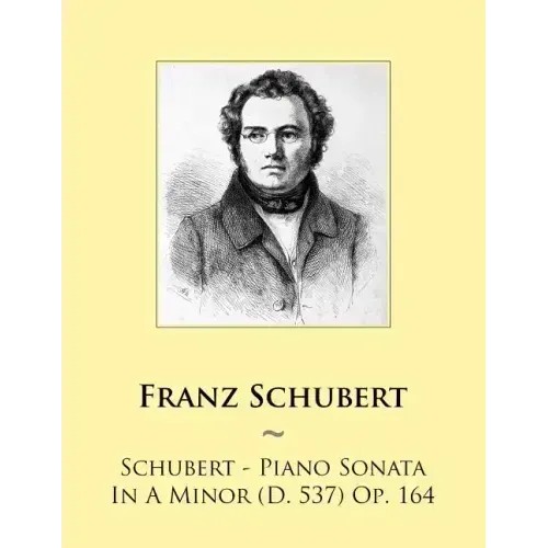 Schubert - Piano Sonata In A Minor (D. 537) Op. 164
