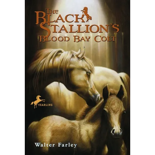 The Black Stallion's Blood Bay Colt: (Reissue)