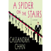 A Spider on the Stairs