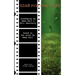 War for the Oaks: The Screenplay