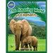Elephants Activity Workbook for Kids ages 4-8!