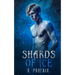 Shards of Ice: An M/M Retelling of 'The Snow Queen'