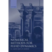 Numerical Methods for Fluid Dynamics IV