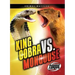 King Cobra vs. Mongoose