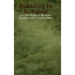 Dabbling In Religion: A Case Study of Baptists Living in the United States