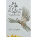 Life in the Spirit: Reflecting on the Work of the Holy Spirit in Our Lives