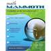Math Mammoth Grade 2-B Student Worktext