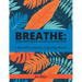 Breathe: Simple Affirmations to Calm an Anxious Mind: I AM Affirmation Coloring Book