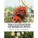 The Cultivation of Roses in Pots: Or; Growing Roses in Containers