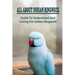 All About Indian Ringneck: Guide To Understand And Caring For Indian Ringneck: Fun Facts About Indian Ringneck