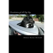 Considerations for the City Dog