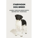 Stabyhoun Dog Breed: A Rarely Seen Dog Breed Worth Waiting for - Stabyhoun: Stabyhoun Dog Breed Information, Photos, Traits and Facts