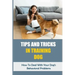 Tips And Tricks In Training Dog: How To Deal With Your Dog's Behavioral Problems: Tricks To Teach Your Puppy