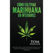 Cómo cultivar marihuana en interiores: Una guía paso a paso para principiantes en el cultivo de marihuana de alta calidad en interiores