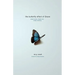 The Butterfly Effect of Grace