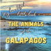 My Beautiful Little Book - The Animals Of The Galapagos: Discover the animals of this beautiful islands with incredible pictures