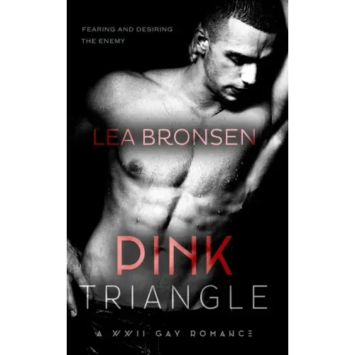 Pink Triangle: A WWII Gay Romance