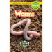 Worms: Backyard Bugs and Creepy-Crawlies (Engaging Readers, Level Pre-1)