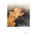 Walden by Haiku