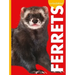 Curious about Ferrets