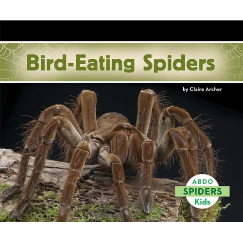 Bird-Eating Spiders