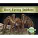 Bird-Eating Spiders
