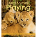 Baby Animals Playing