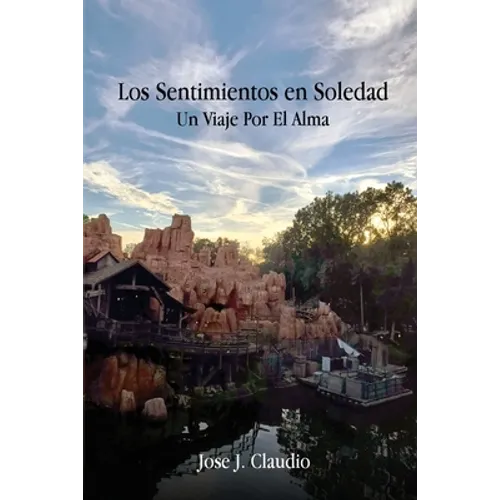Los Sentimientos en Soledad: Un Viaje Por El Alma