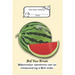 Composition Book: Wide Rule- Watermelon