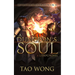 A Dungeon's Soul: Book 3 of the Adventures on Brad