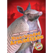 Nine-Banded Armadillos