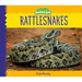 Rattlesnakes
