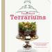 Tiny World Terrariums: A Step-By-Step Guide