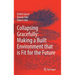 Collapsing Gracefully: Making a Built Environment That Is Fit for the Future