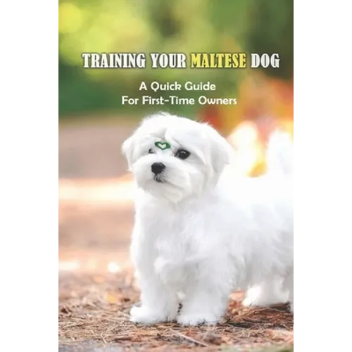 Training Your Maltese Dog: A Quick Guide For First-Time Owners: Maltese Breed Characteristic
