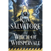 The Witch of Whispervale: The Buccaneers, Book 2