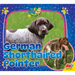 German Shorthaired Pointer