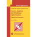 Convex Analysis and Nonlinear Optimization: Theory and Examples
