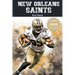 New Orleans Saints Fun Facts