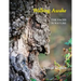 Walking Awake: The Faces in Nature