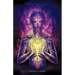 For the Sake of Evolution: The Indigo Child