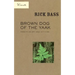 Brown Dog of the Yaak: Essays on Art and Activism